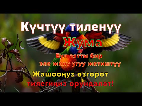 Видео: Тез ырыскы! Бул сүрө күн сайын байлык, тынчтык жана кереметтерди тартат!