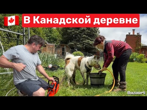 Видео: Один день в канадской деревне ￼