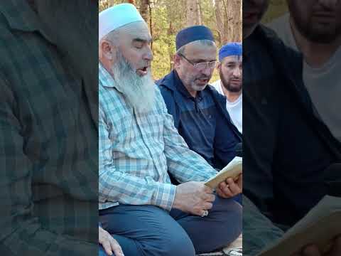 Видео: Мух1аррам и Мух1аммад Тебекские. Назму на Даргинском.