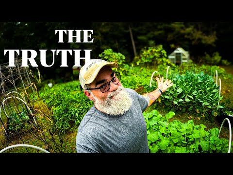 Видео: Правда о ВАШИХ датах посадки