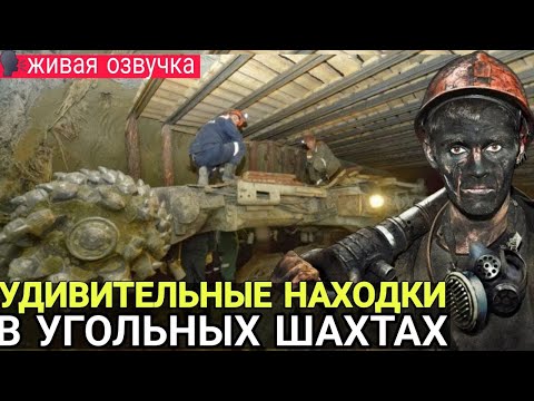 Видео: Учёные ЭТО СКРЫВАЮТ ОТ НАС! Удивительные находки шахтёров в угольных шахтах!