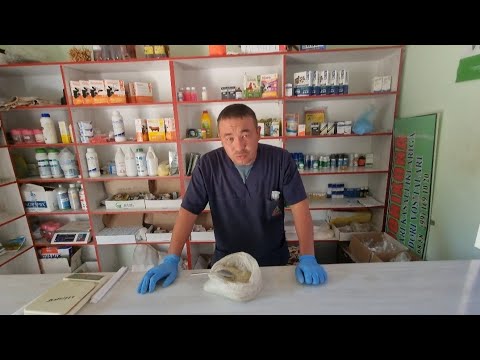 Видео: Чорва молларига олтин гургут бериш фойдалари хакида