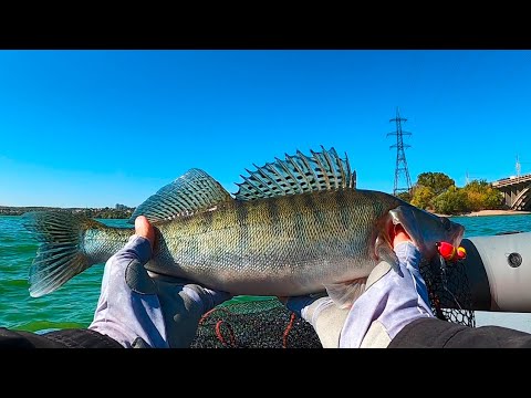 Видео: ЛОВИМ СУДАКА НА МАНДУЛЫ И РАТЛИНЫ! 💥💥💥