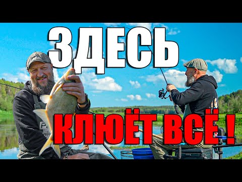 Видео: ГДЕ ЛОВИТЬ, ЧТО БЫ КЛЕВАЛО? КАК ЛОВИТЬ НА ТЕЧЕНИИ? ФИДЕР НА РЕКЕ!