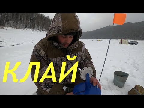 Видео: ОТ КУДА ТУТ СТОЛЬКО РЫБЫ? Саяно-Шушенское водохранилище, опустили камеру и были ШОКИРОВАНЫ.