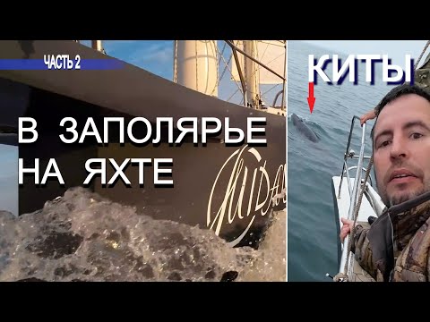 Видео: 79 | Пограничники | КИТЫ | на Яхте в Мурманск и НОРВЕГИЮ