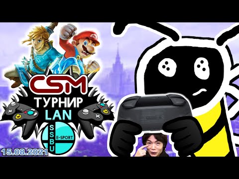 Видео: СНОВА ЕДУ НА ТУРНИР ПО SSB: ULTIMATE! [ВЛОГ #2]