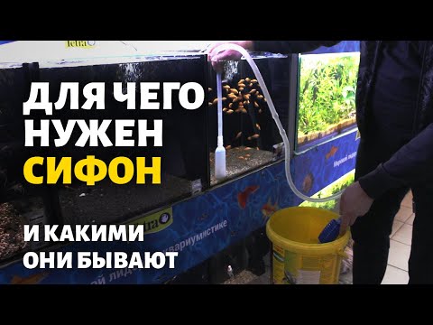 Видео: Как подменивать воду в аквариуме | Обзор сифонов