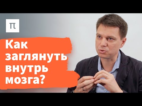 Видео: Нейровизуализация — Александр Храмов / ПостНаука
