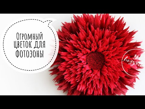 Видео: Ростовой цветок из гофрированной бумаги. Пошаговая инструкция. Огромный цветок для фотосессии