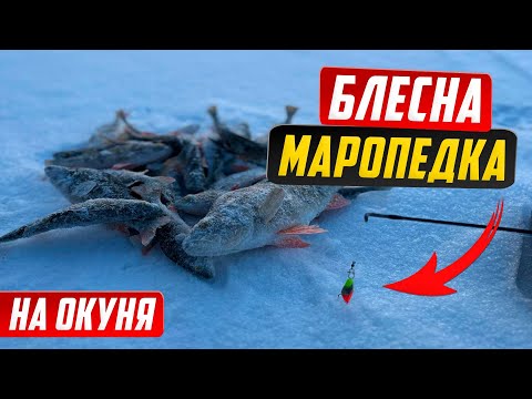 Видео: Маропедка: лучшая зимняя блесна на окуня. Улов гарантирован.