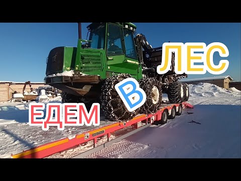 Видео: Едем в лес🌲🌲🌲