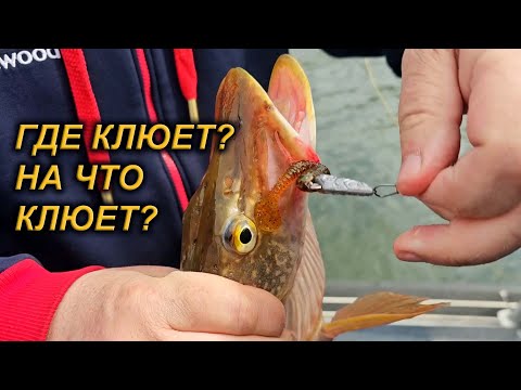 Видео: Открытие по щуке на Красноярском водохранилище.