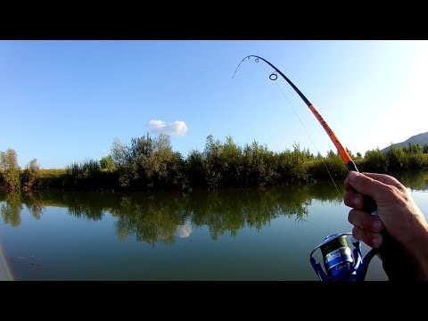Видео: Рыбалка на ЩУКУ. Ловля щуки на р. Тиса.