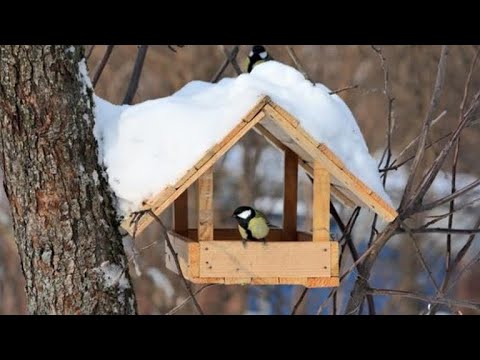 Видео: Середня група. Екскурсія до зимового парку.
