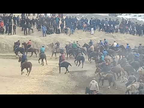 Видео: Хисрав улок купкари Сух.29.01.2023