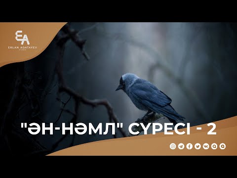 Видео: "ән-Нәмл" сүресі - 2: "Алланың әмірін уайым қылған адал құс" | Ұстаз Ерлан Ақатаев ᴴᴰ