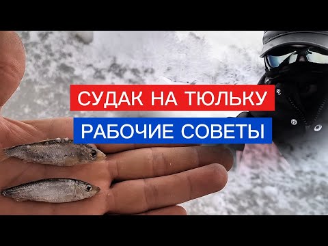 Видео: СУДАК на ТЮЛЬКУ! Рабочие советы!