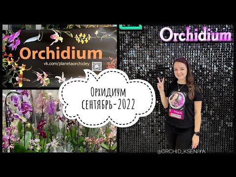 Видео: Орхидиум - сентябрь 2022 | Выставка-продажа орхидей в Москве | Орхидеи,препараты,грунты,горшки и др.