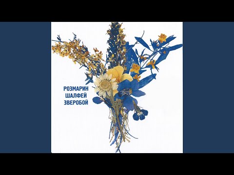 Видео: Ярмарка в Скарборо