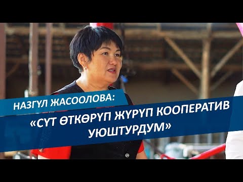 Видео: Айыл жергесинде СҮТТҮ Назгүл эже чогултуп жатат ~ Сүт өндүрүүчүлөргө ОКУТУУ уюштурду ~ Баракелде