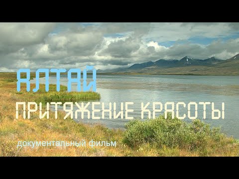 Видео: Алтай. Телецкое озеро. Катунь. гора Белуха. Озеро Джулукуль. Река Чулышман. Nature of Russia.