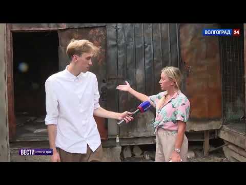 Видео: После пожара #приют #догшагс #пожар #трагедия 