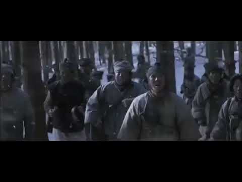 Видео: Великий тигр.Я тот кого не кто не любит