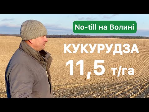 Видео: Кукурудза 11,5 т/га | No-till на Волині