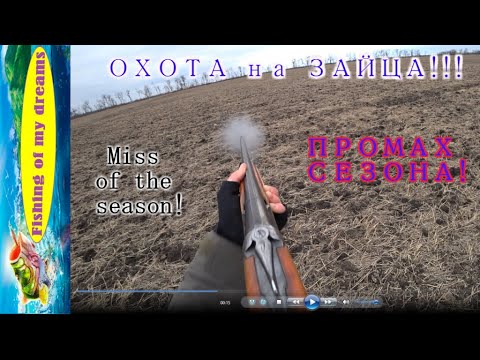 Видео: Охота на зайца!ПРОМАХ СЕЗОНА!!!Отличная охота!!!Отчёт!