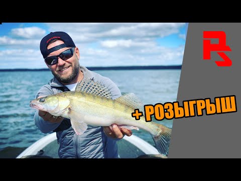 Видео: СУДАК НА РАТТЛИНЫ. Клюет на каждом забросе! Поиск судака.