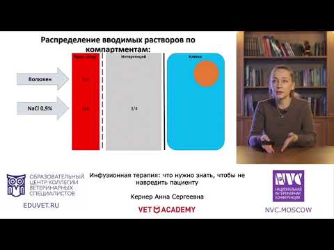 Видео: Инфузионная терапия: что нужно знать, чтобы не навредить пациенту. Анна Кернер