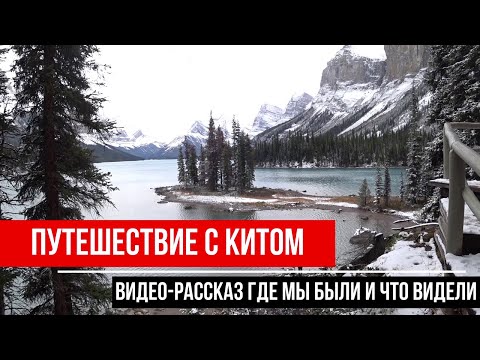 Видео: ❤️НАШЕ ПУТЕШЕСТВИЕ С КИТОМ ☑️ДЖАСПЕР, ☑️БАНФФ, ☑️КАЛГАРИ