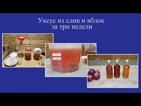 Видео: Уксус сливовый и яблочный за три недели