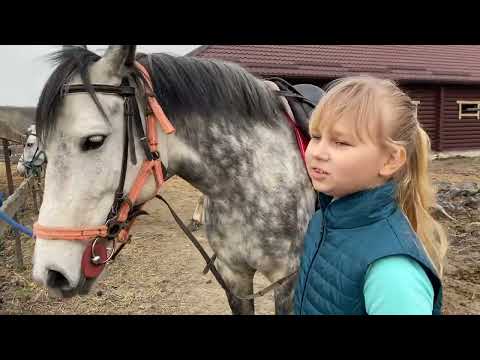 Видео: Алиса будет заниматься КОННЫМ СПОРТОМ в центре отдыха ГРИНЛАНДИЯ !