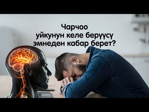 Видео: Күндүз чарчап, уйкуңуз келе берсе - бул начар белги