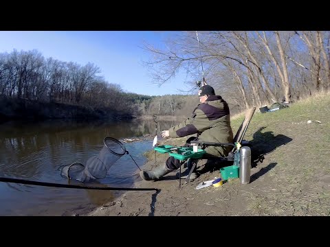 Видео: Ловля густеры весной на Северском Донце!