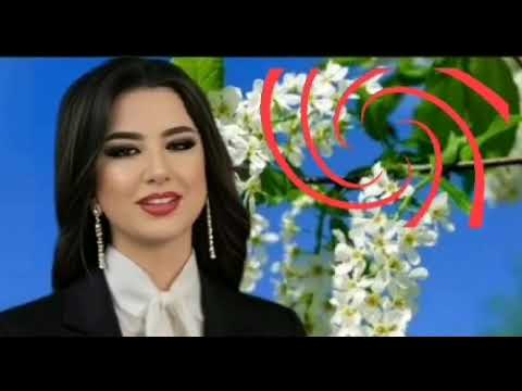 Видео: Нилуфар Муминова сўзи.  Қайнона ёр ёри. Зарифа Алимқуловадан Яна бир ажойиб ижро.