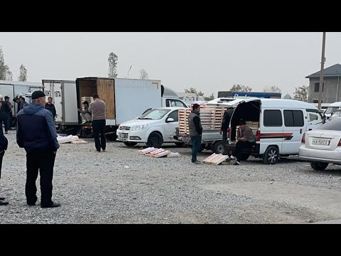 Видео: БОЗОР КАША НАРХЛАР ПАСТ. Олтиариқ узум бозор ХУРМО АНОР БЕХИ нархи