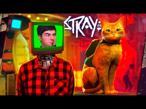 Видео: ПРО STRAY