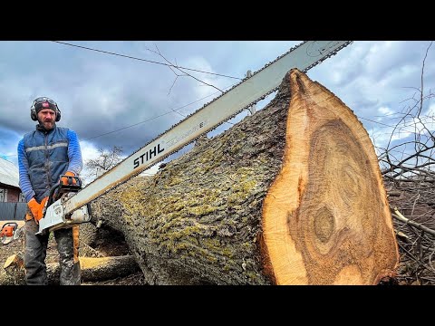 Видео: Ничто не может остановить эту пилу