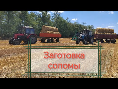 Видео: Заготовка ячменной соломы и сена люцерны.