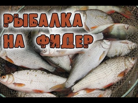 Видео: Рыбалка на фидер. Первая рыбалка на Урале.