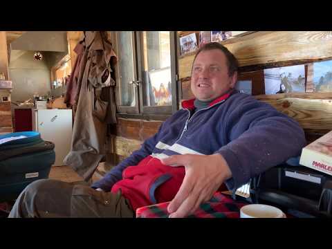 Видео: Породи Кучета: Алабай, Кангал, Каракачанско Куче. БОК (Българско Овчарско Куче) Вълк