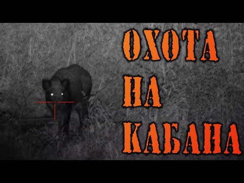 Видео: ОХОТА НА КАБАНА С ВЫШКИ / ГЛАДКОСТВОЛЬНЫЙ ОХОТНИЧИЙ КАРАБИН ТК-598 КАЛИБР 9,6/53 LANCASTER / НОЧНИК