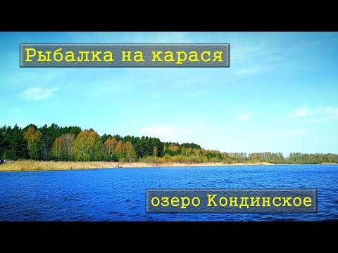 Видео: Весенняя рыбалка на карася с лодки на озере Кондинское / Донка или поплавок по холодной воде /