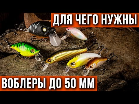 Видео: Воблеры 50 мм и меньше, для чего они нужны.