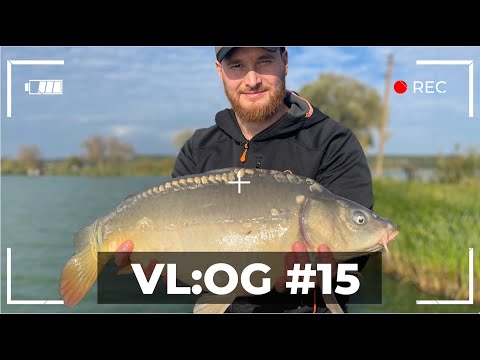 Видео: Закриття коропового сезону 2023 | VL:OG №15