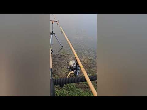 Видео: Бамбуковое удилище, реставрация, тест на воде.