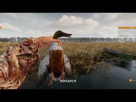 Видео: BULT hunting simulator - краткий обзор обновления 1.0.1.271 «СНАРЯЖЕНИЕ»